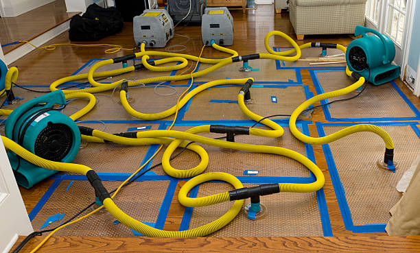 Professional Water Extraction technician working in Austin, TX